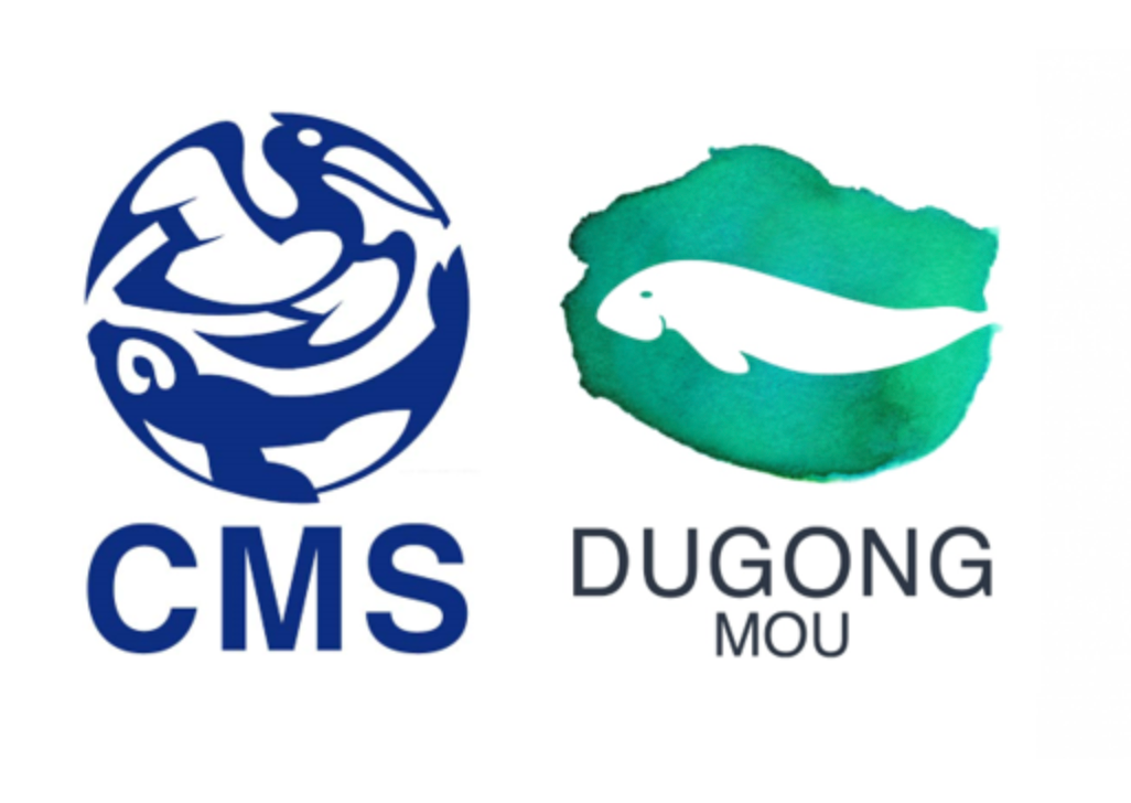 Philippine Marine Wildlife Conservation and Management